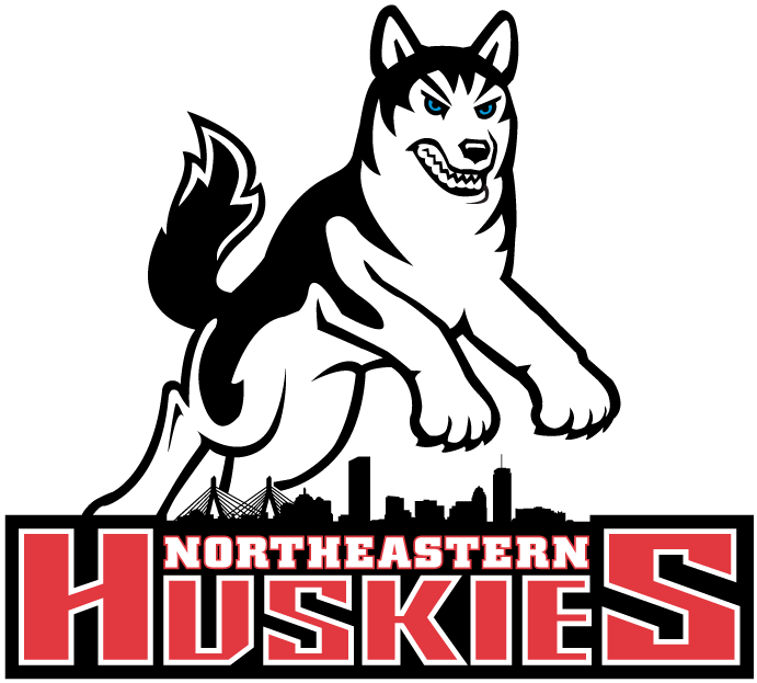 Northeastern Huskies 2001-2006 Primary Logo t shirts DIY iron ons